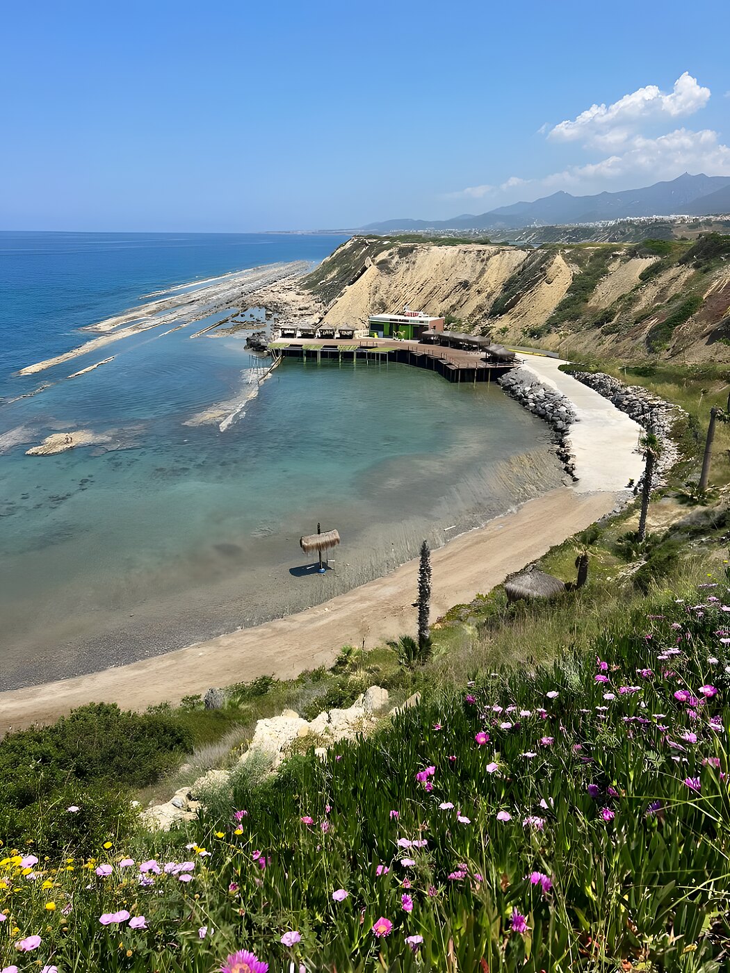 Blue lagoon between cliffs with a flowering shoreline